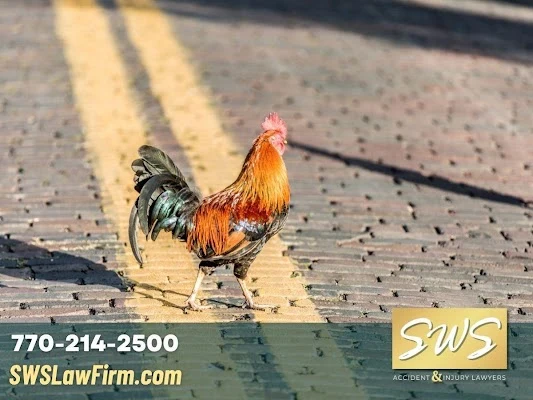 SWS Accident & Injury Lawyers - Smith, Wallis & Scott, LLC